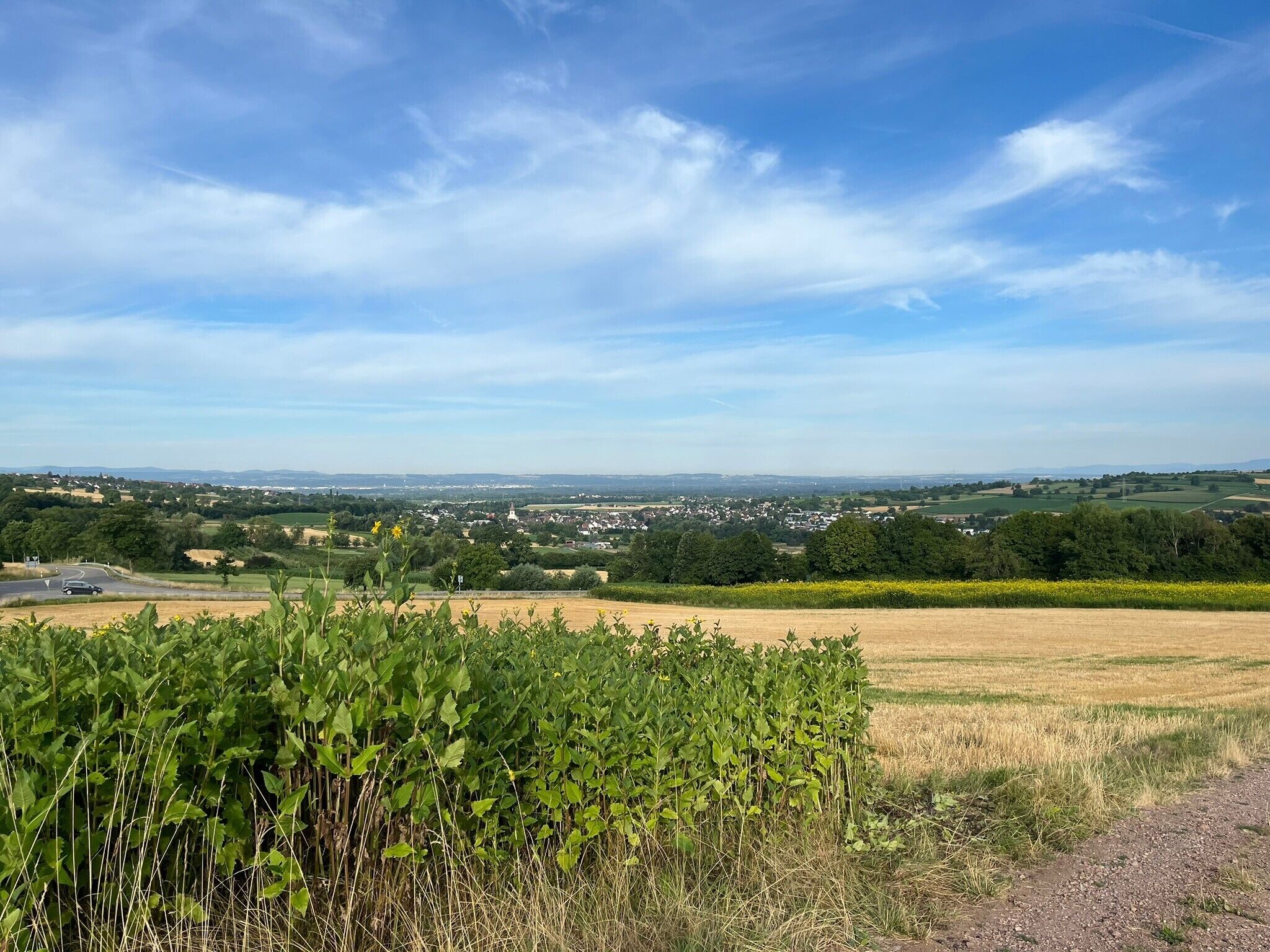 A rural landscape with a road, fields, and a distant town.