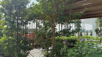A rooftop garden with a pergola structure, potted plants, and a view of a modern building in the background.