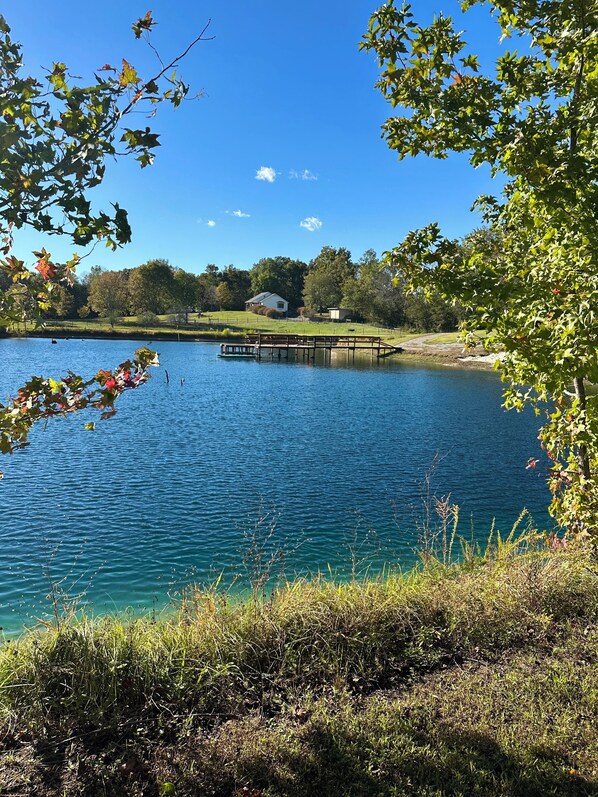 Un lago tranquilo con un muelle, rodeado de árboles y una zona cubierta de hierba.
