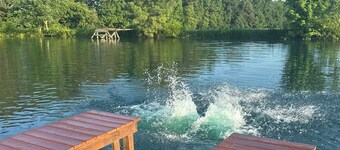 The Hidden Maple - 10 minutes to MSU - Pet & Kid Friendly - Secluded with Pond!