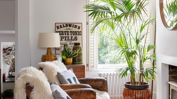 A living room with a brown sofa, a round yellow ottoman, a large potted plant, a ceiling fan, and a sign on the wall.