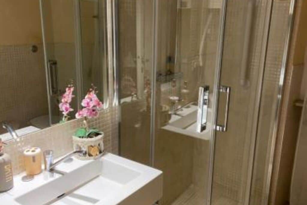 Hair dryer, bidet, towels, soap