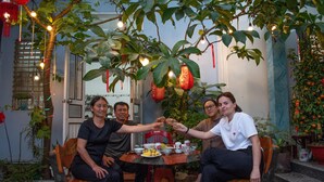 A group of people seated at a round table with a plant overhead, surrounded by potted plants and a red lantern. - Immersive Homestay NinhBinh  (Dai Hoang)