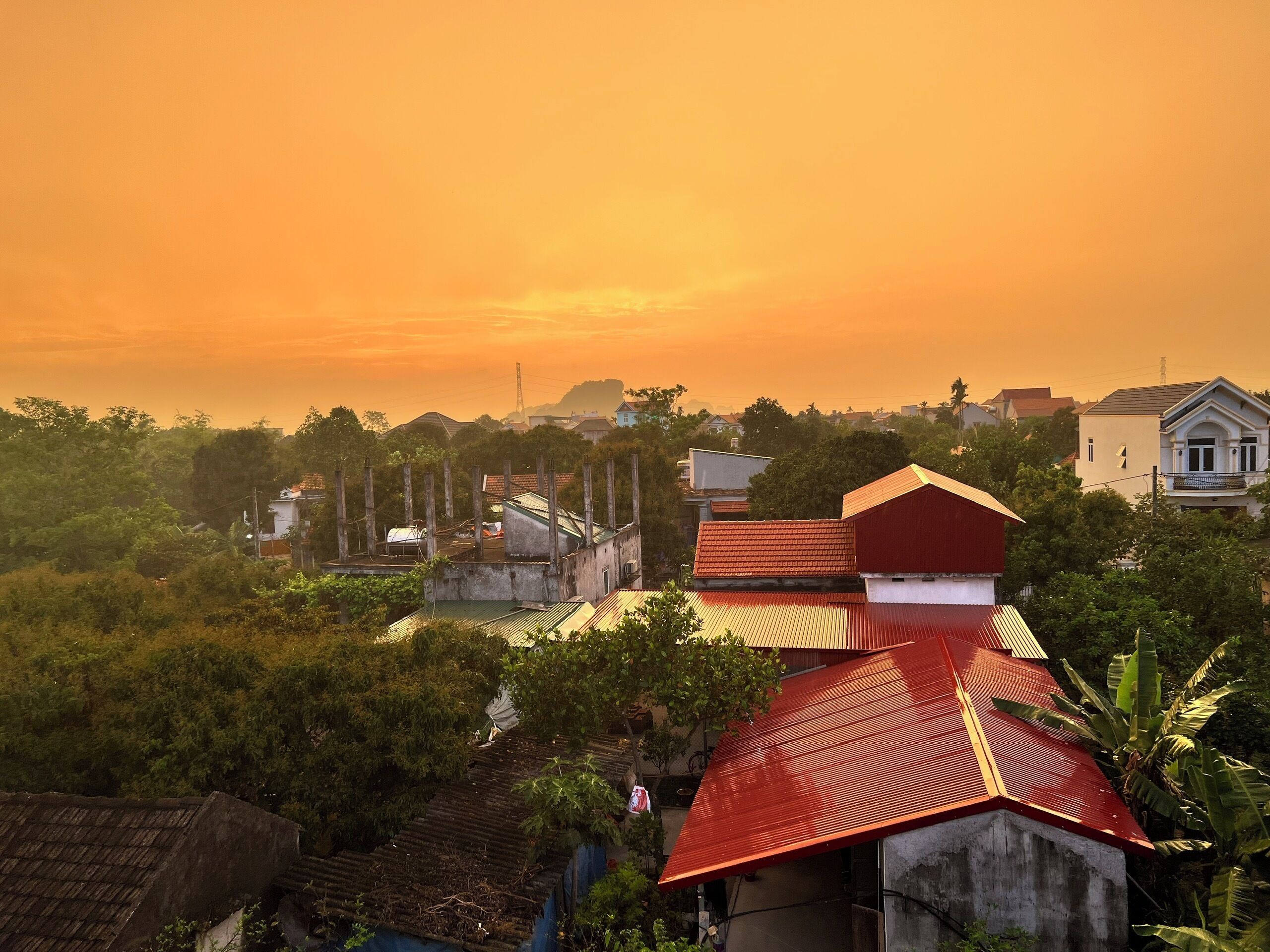A residential area with houses, some with red roofs, surrounded by greenery and trees.