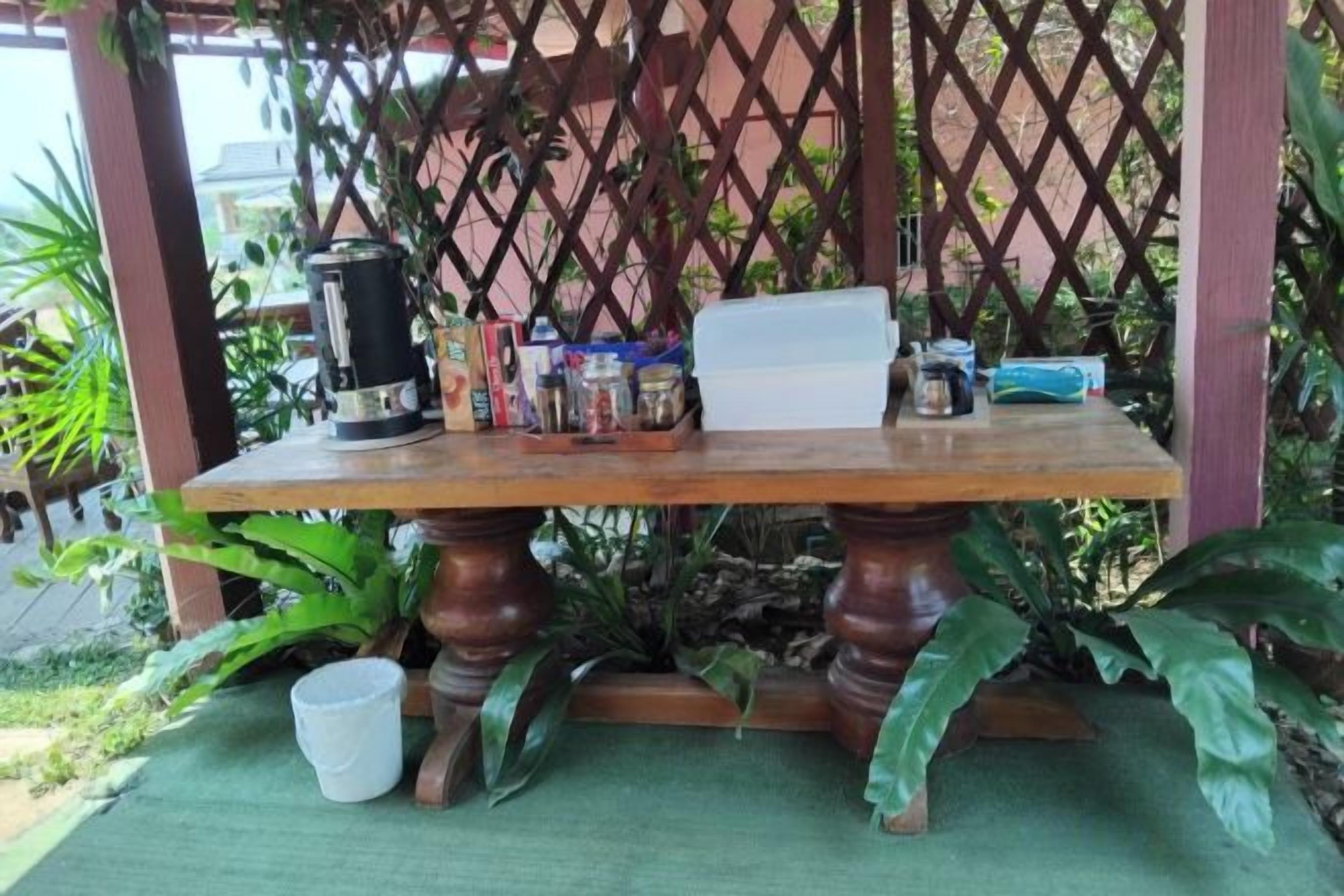 A wooden table with a white chair, surrounded by plants and a lattice structure.