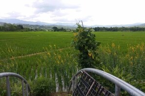 A rural landscape with a metal fence, a field of crops, and a distant mountain range. - Khuang Na Farmview (Mae Chaem)