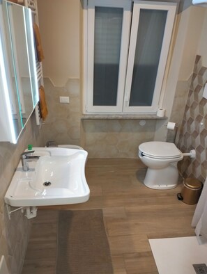 Habitación con 1 cama doble o 2 individuales | Baño | Ducha, secador de pelo, toallas y jabón