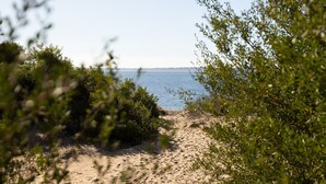Een zandstrand met schaarse begroeiing en een helder uitzicht op zee.