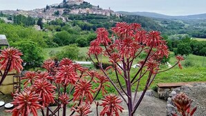 A view of a town with a castle on a hill, surrounded by greenery. - LA CASINA Panoramic apartment in the countryside very close to the village (Amelia)
