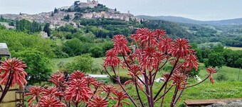 LA CASINA Panoramic apartment in the countryside very close to the village