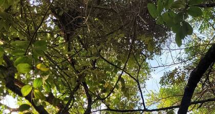 Casa Aruna Principal-Peninsula Marau