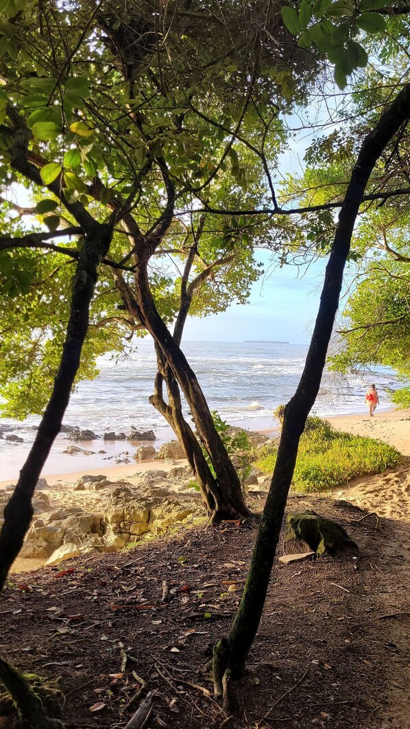 Beach nearby - Casa Aruna Principal-Peninsula Marau (Maraú)