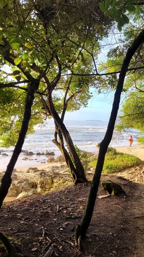 Casa Aruna Principal-Peninsula  Marau