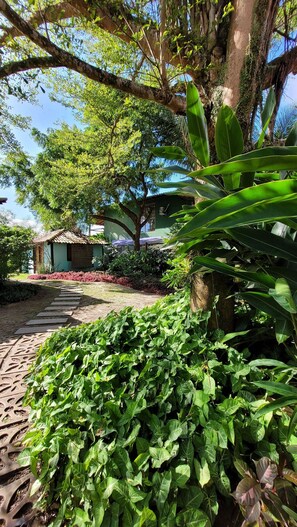 Property grounds - Casa Aruna Principal-Peninsula Marau (Maraú)