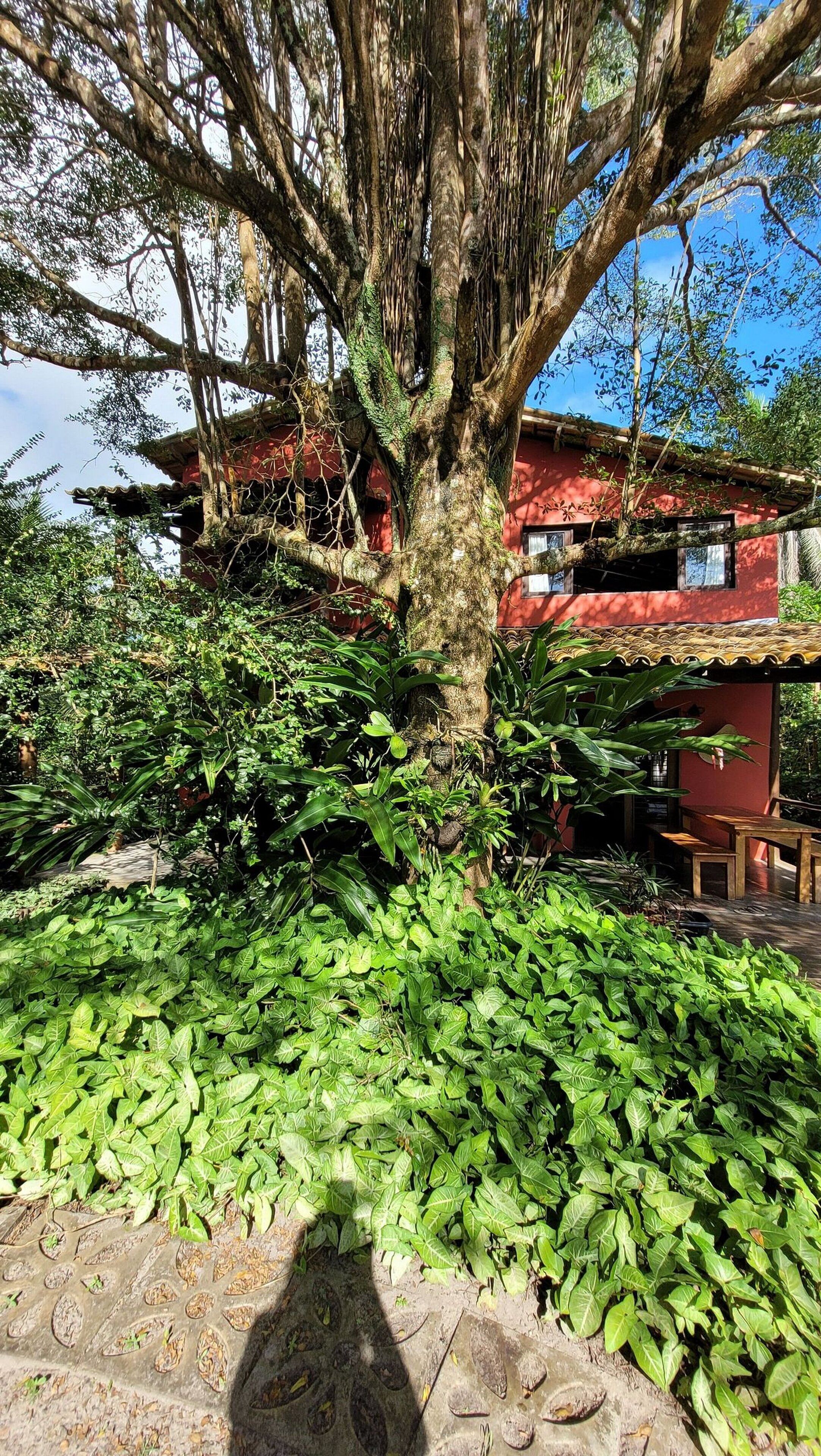 Vila clássica | Área da propriedade