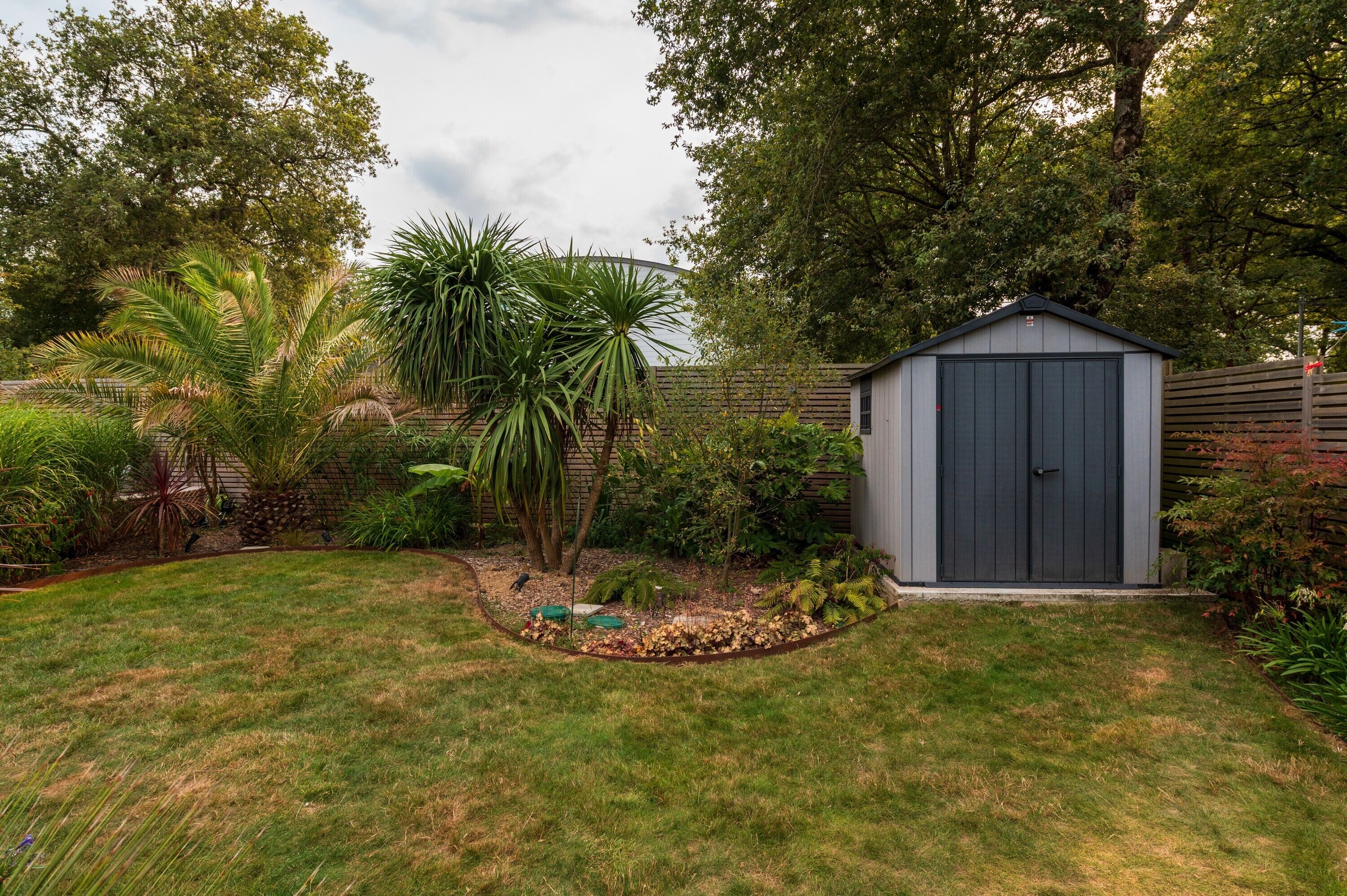 A backyard with a shed, various plants, and a lawn.