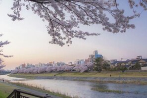 미분류 이미지, 5/45장, 버튼