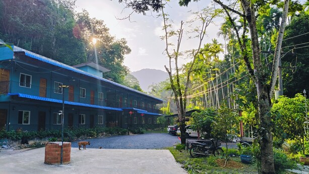 A two-story building with a blue roof, surrounded by lush greenery and a gravel path. - Makorn Nonkleng (Thung Song)