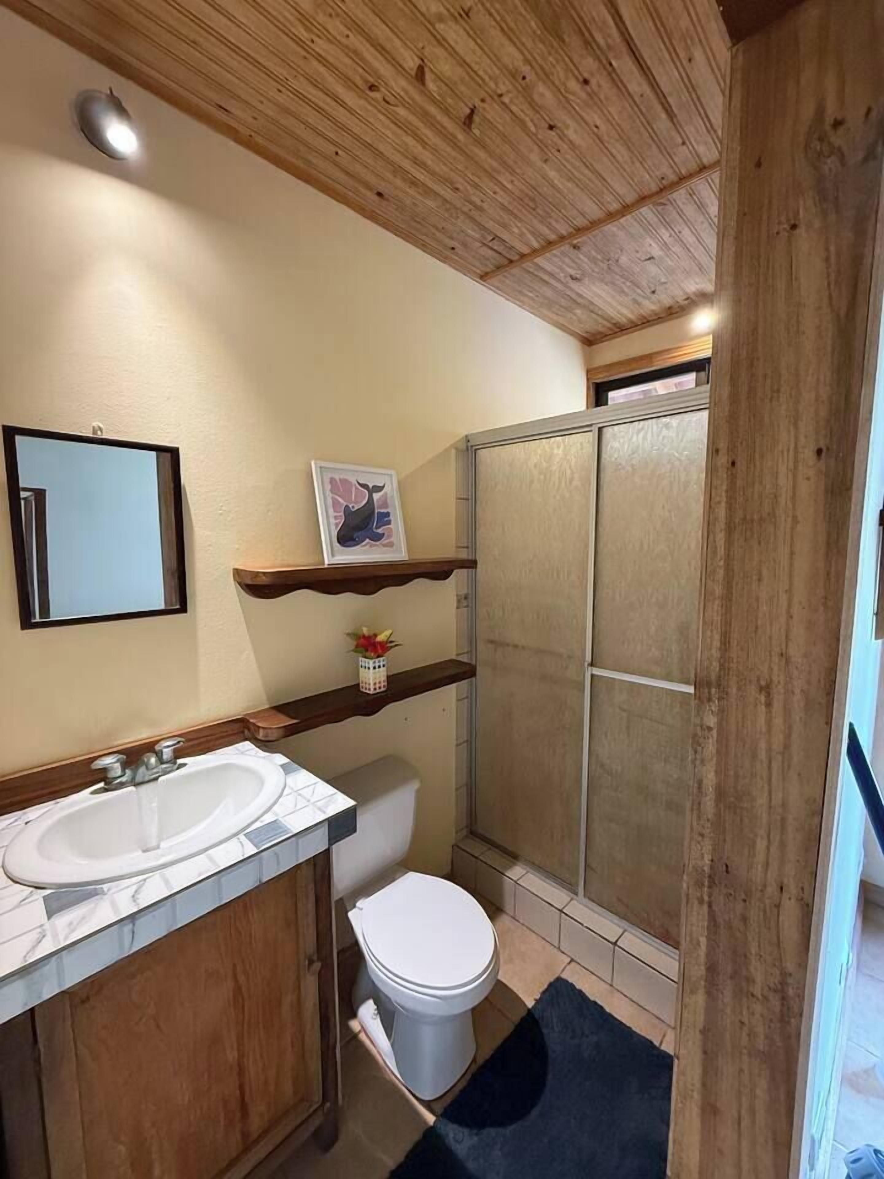 Shower