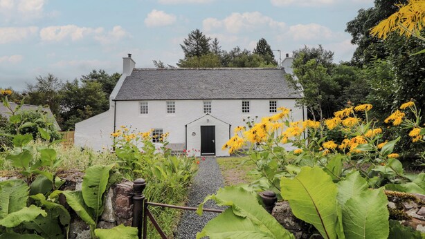 A white house with a black door, surrounded by greenery and yellow flowers. - Srondubh (Achnasheen)