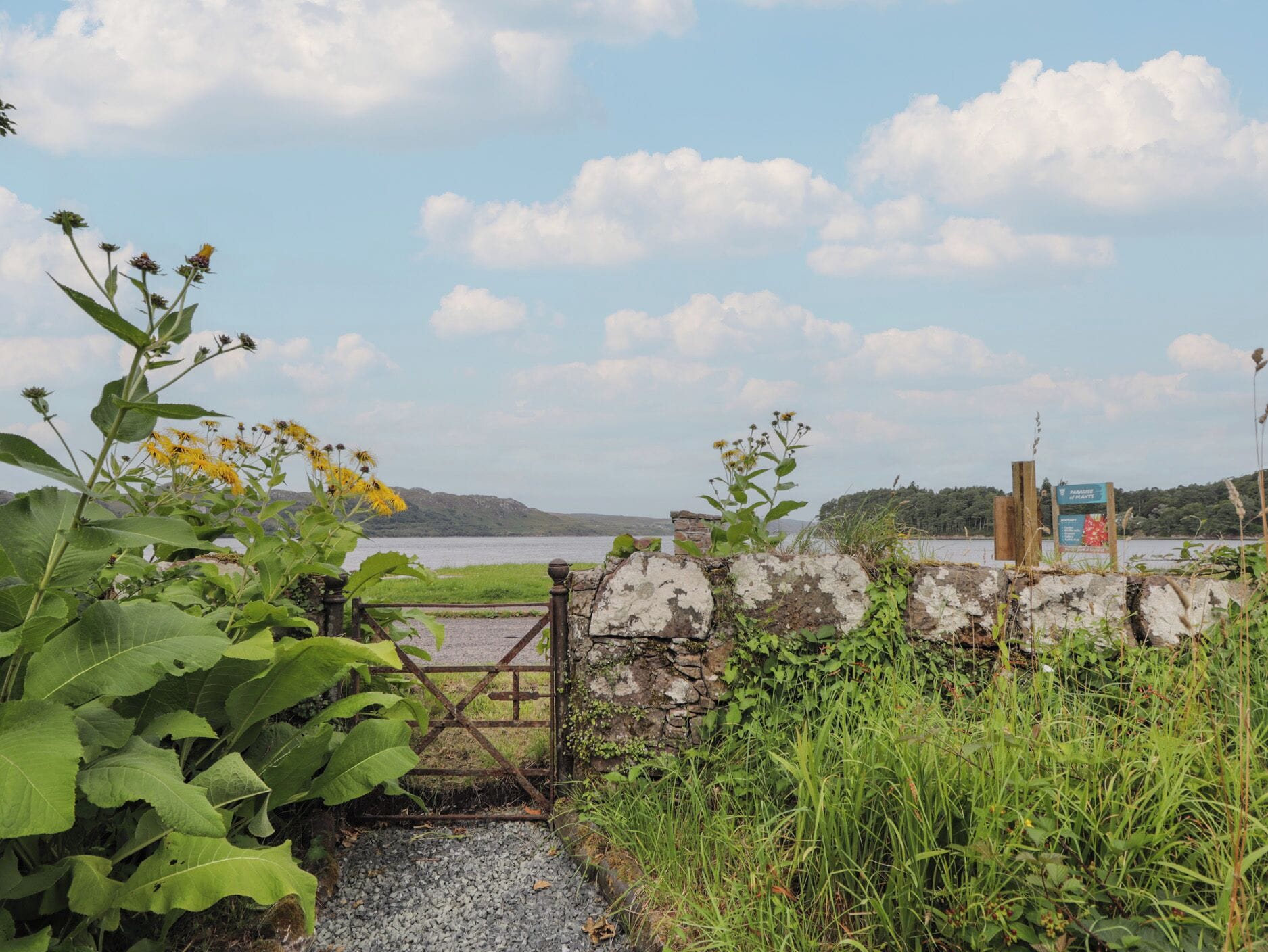 Terrein van de accommodatie
