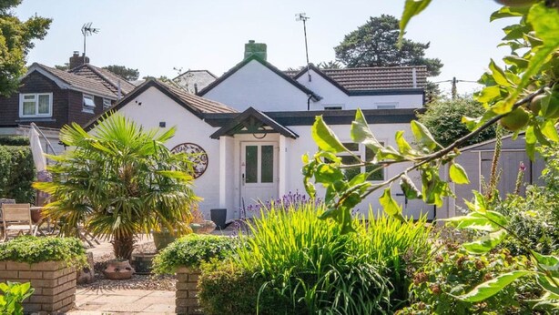 A house with a garden, a palm tree, and a variety of plants. - Breeze Room 10 - Peaceful Single - New Forest (Dibden Purlieu)