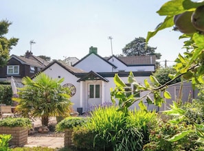 Een woonhuis met een witte gevel, een groen dak en een voortuin met diverse planten en een palmboom.