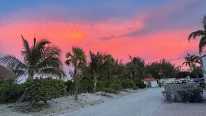 Una carretera costera con palmeras y un edificio pequeño a lo lejos.
