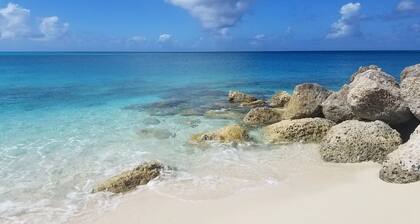 Waterfront King Suite at Bimini Cove Resort & Marina – Ground Floor, Marina View