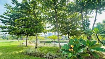 A park with trees, grass, and a water feature.