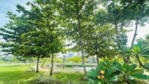 A park with green grass, trees, and a small pond. - winner house (North Jakarta)