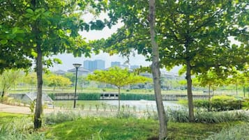 A park with trees, a pathway, and a body of water.
