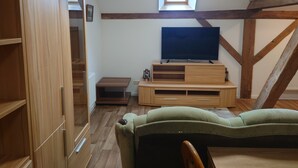 A cozy attic room with a wooden TV stand, a flat-screen TV, a green sofa, and a skylight. - Apartment 6 Zum Kuhstall Heinrichsberg - Magdeburg (Heinrichsberg)