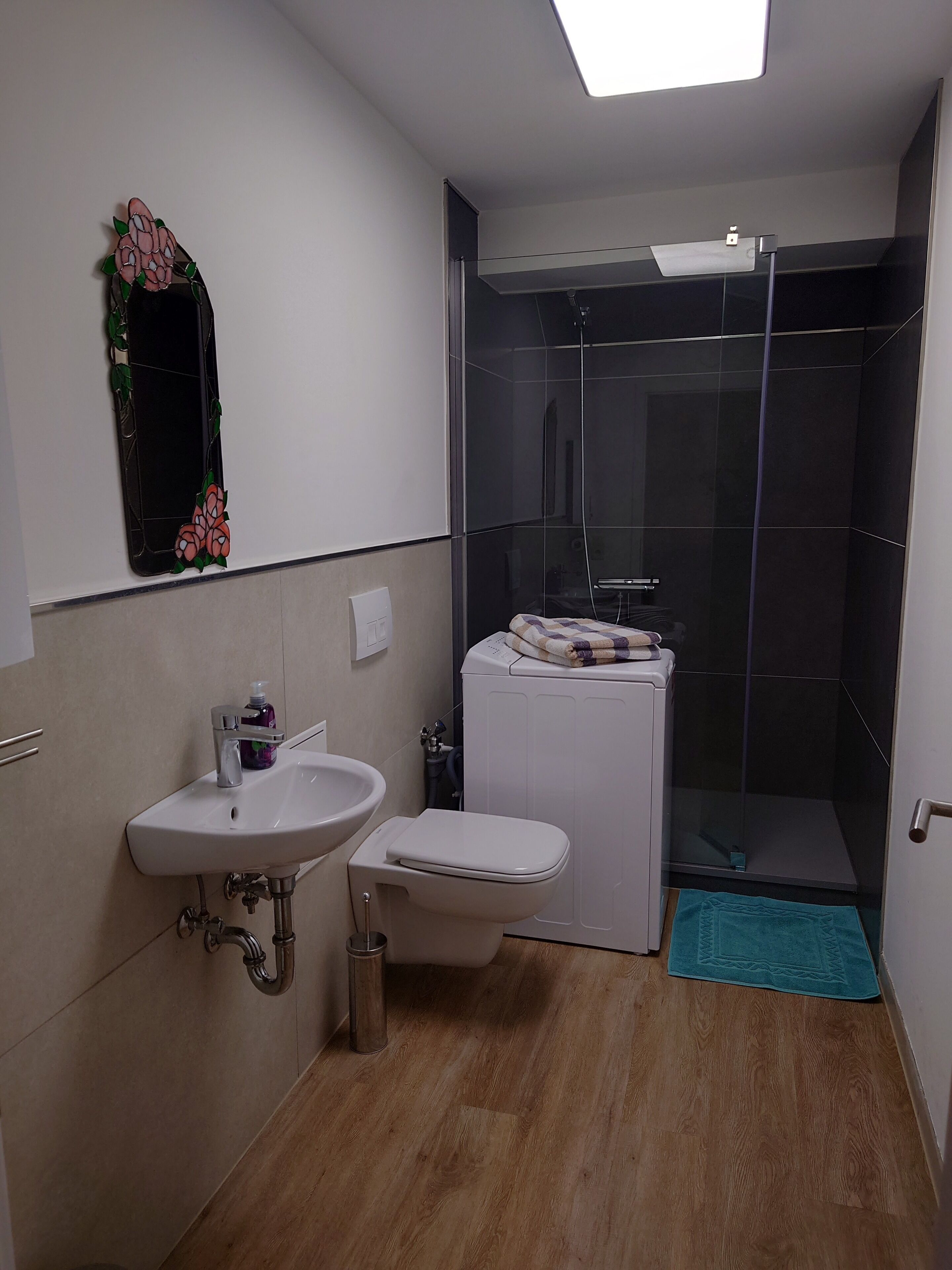 Douche, serviettes fournies, papier toilette