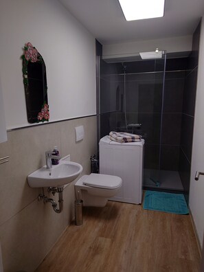 Shower, towels, toilet paper