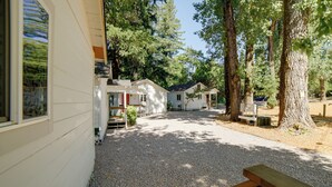 A row of white cabins with gravel paths, surrounded by tall trees. - Golf & Hike: Cobb Mountain Cabin in Scenic Forest! (Cobb)