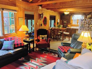 テレビ、暖炉、DVD プレーヤー、書庫