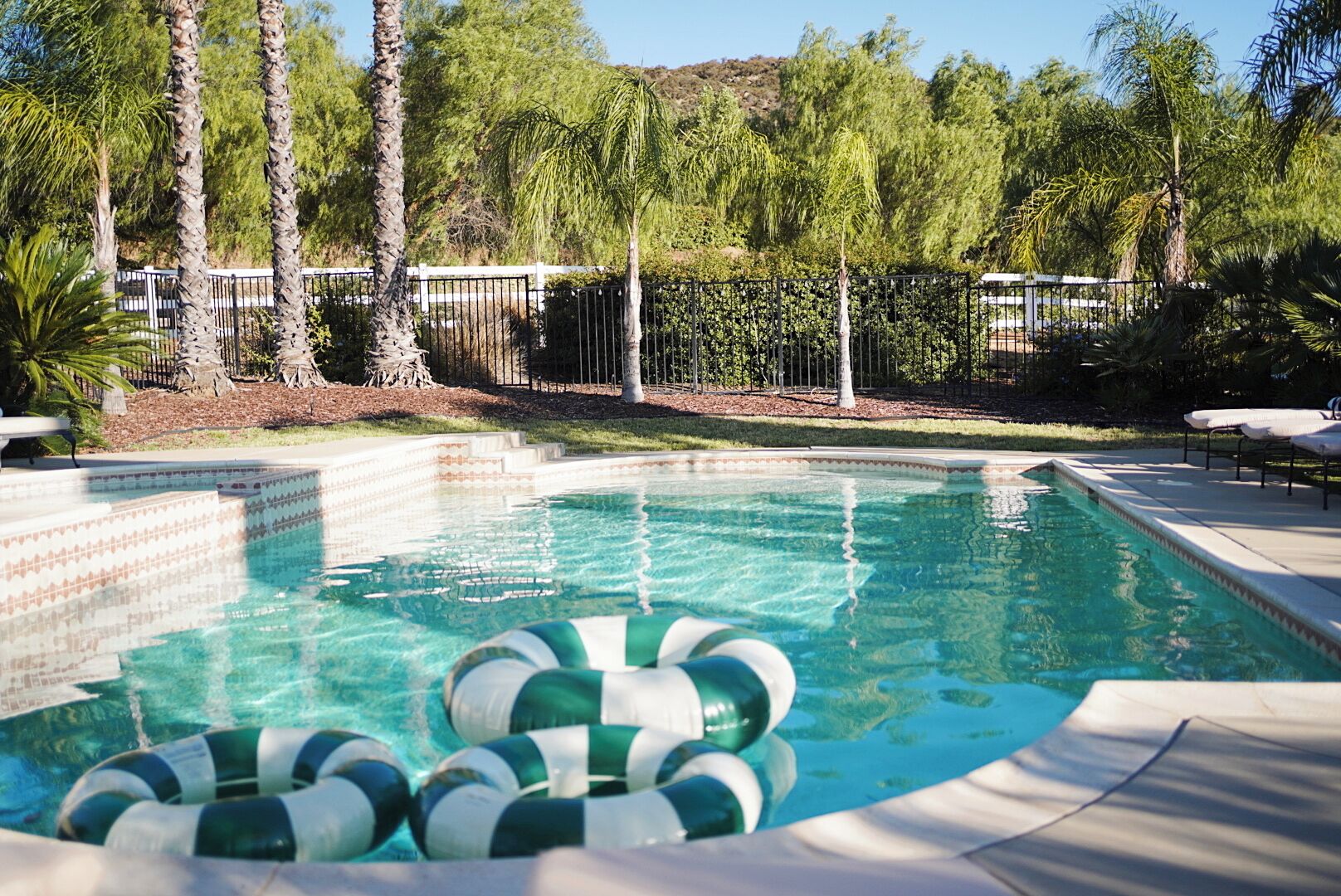 A swimming pool with clear water, surrounded by palm trees and a white fence.