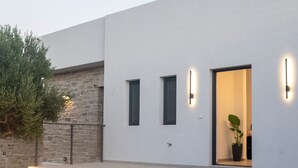 A modern building with a flat facade, a stone wall, and a potted plant near the entrance. - Antiope Retreat (Pitsidia)
