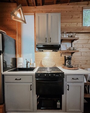 Private kitchen - Cozy cabin on Lookout Mountain (Lookout Mountain)