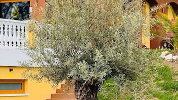 Detalhe da fachada