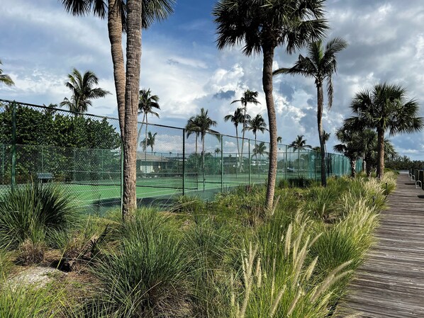Sport court
