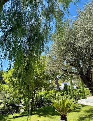 Property grounds - Cannes villa luxury and wellness (Le Cannet)