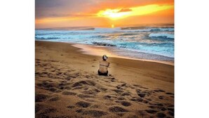 Beach - Cloud 9 cottage, No 9 Mar Azul. A best kept secret (Matutuine)
