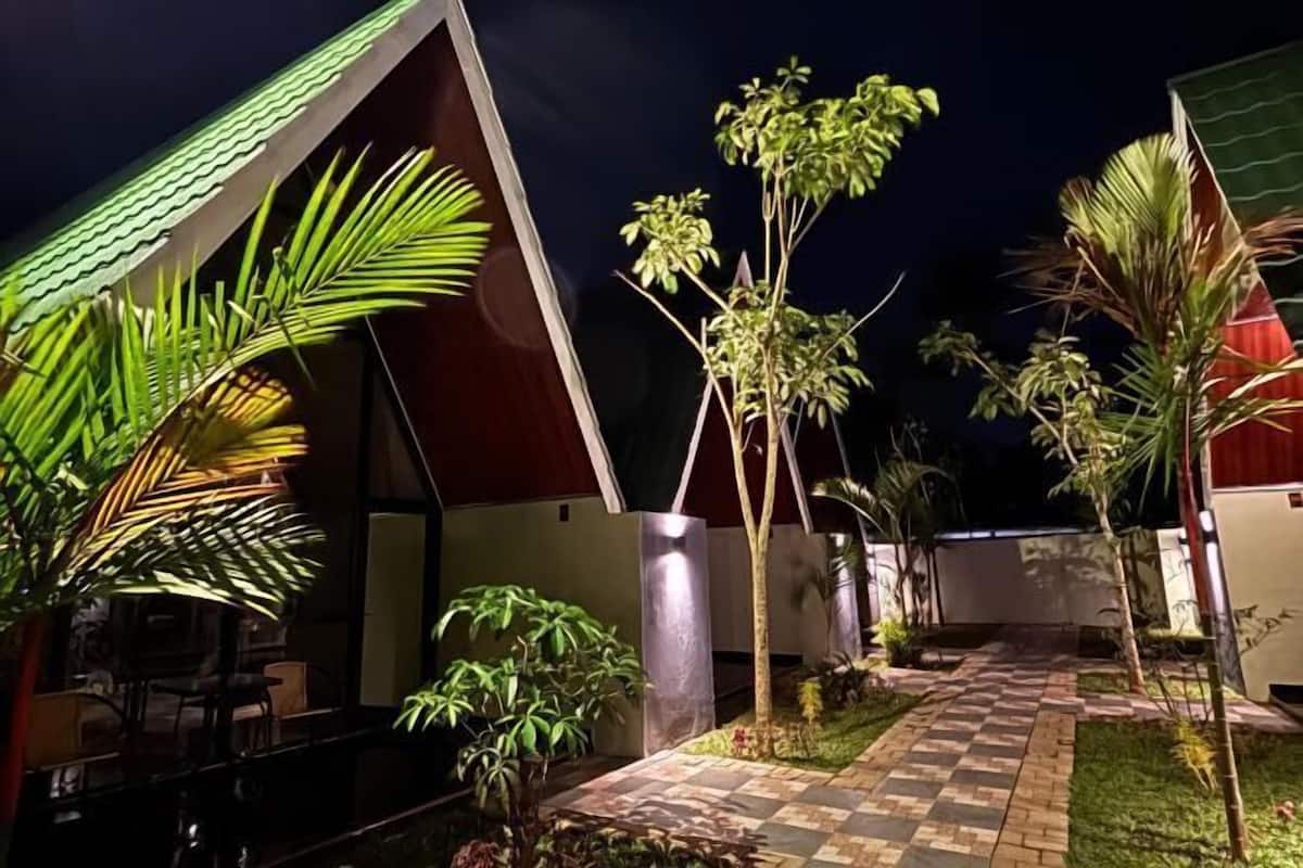 A nighttime view of a modern building with a checkered pathway, palm trees, and a covered outdoor seating area.