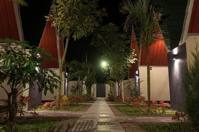 A pathway leading to a building with a modern design, surrounded by greenery and palm trees.