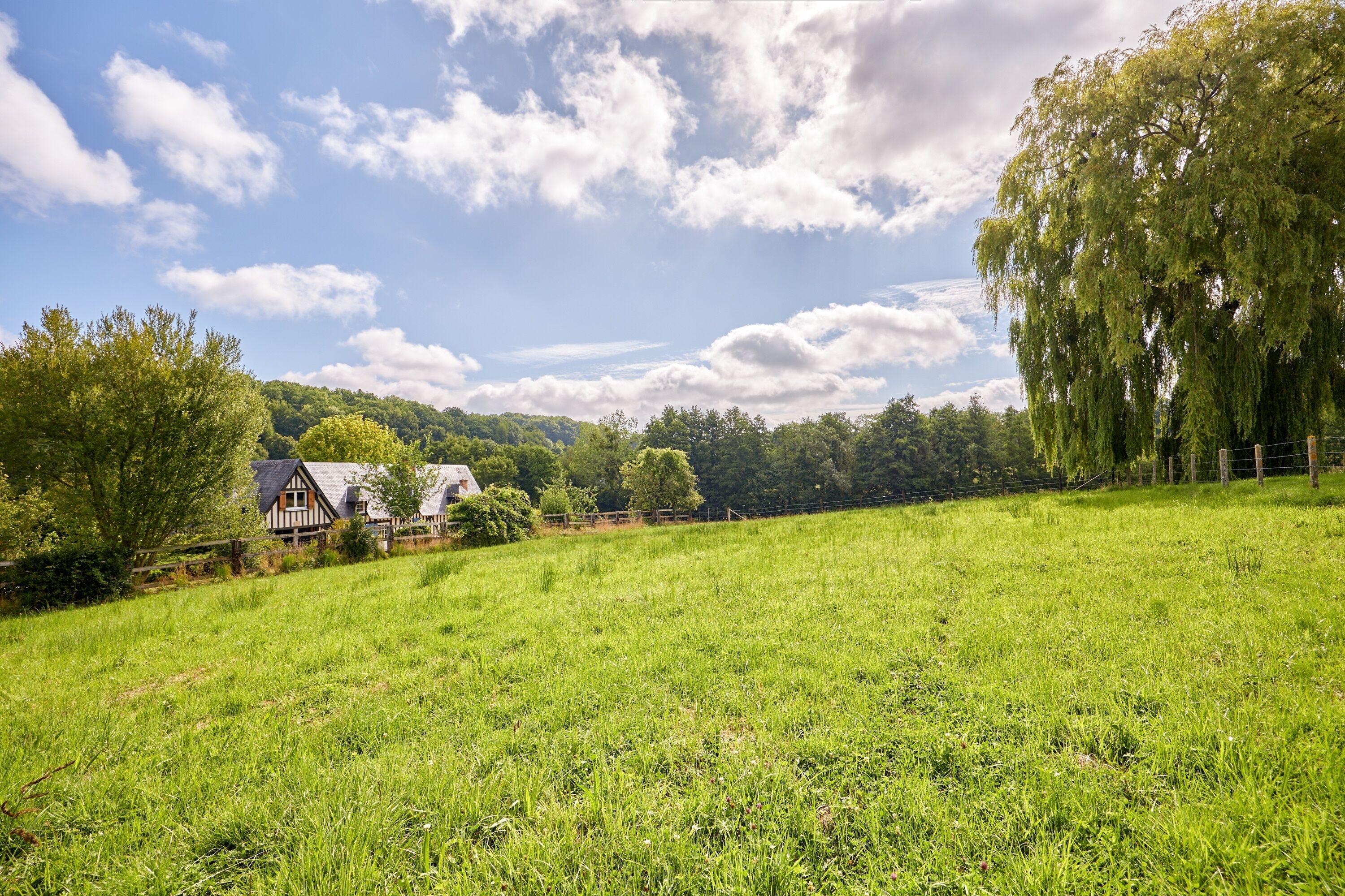 Paesaggio rurale con una casa, un albero grande e un prato erboso.