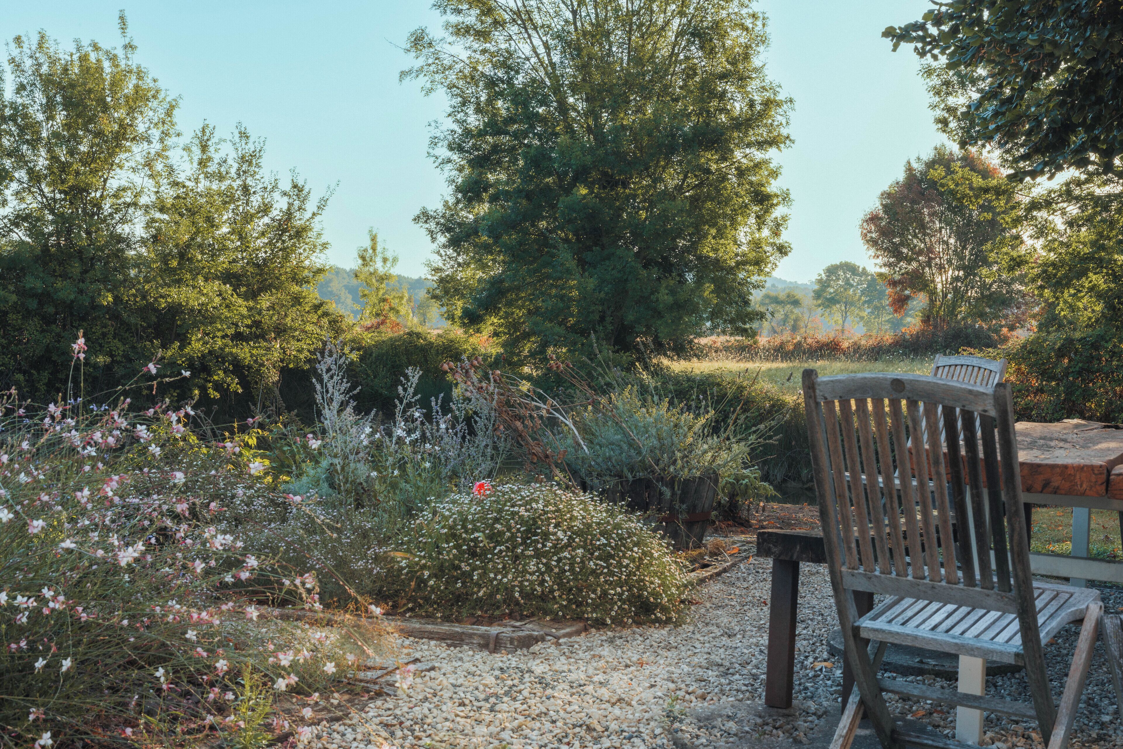 A wooden chair in a garden with gravel path, surrounded by various plants and trees.