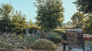 Ein hölzerner Stuhl in einem Garten mit Kiesweg, umgeben von verschiedenen Pflanzen und Bäumen.