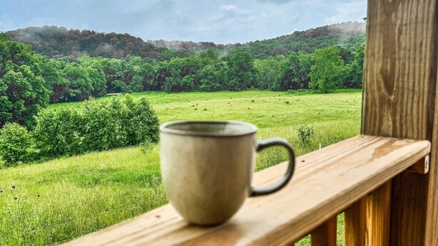 A wooden deck with a metal cup on it, overlooking a green field and forested hills under a cloudy sky. - Wild Horses/ Scenic Ranch Retreat (Bucyrus)